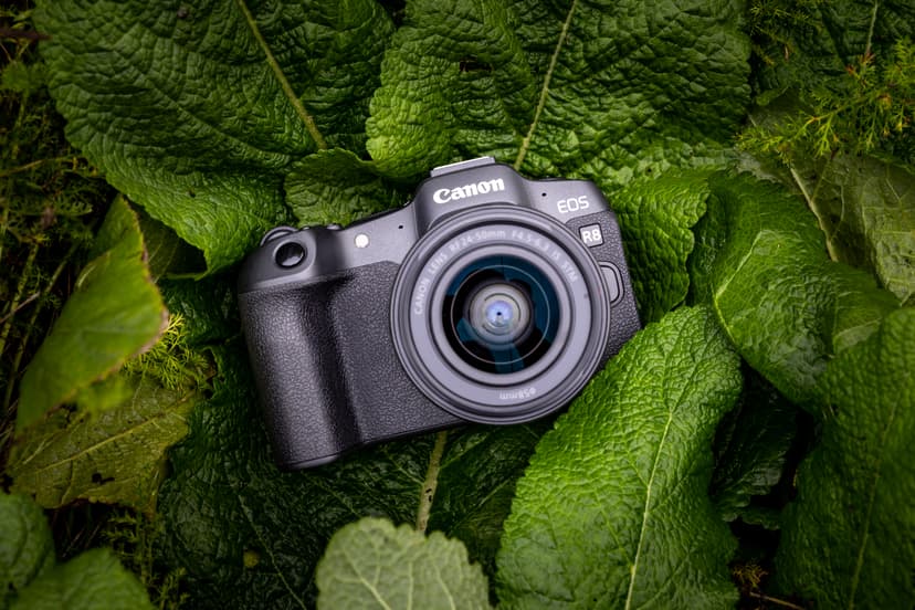 Canon EOS R8 Body