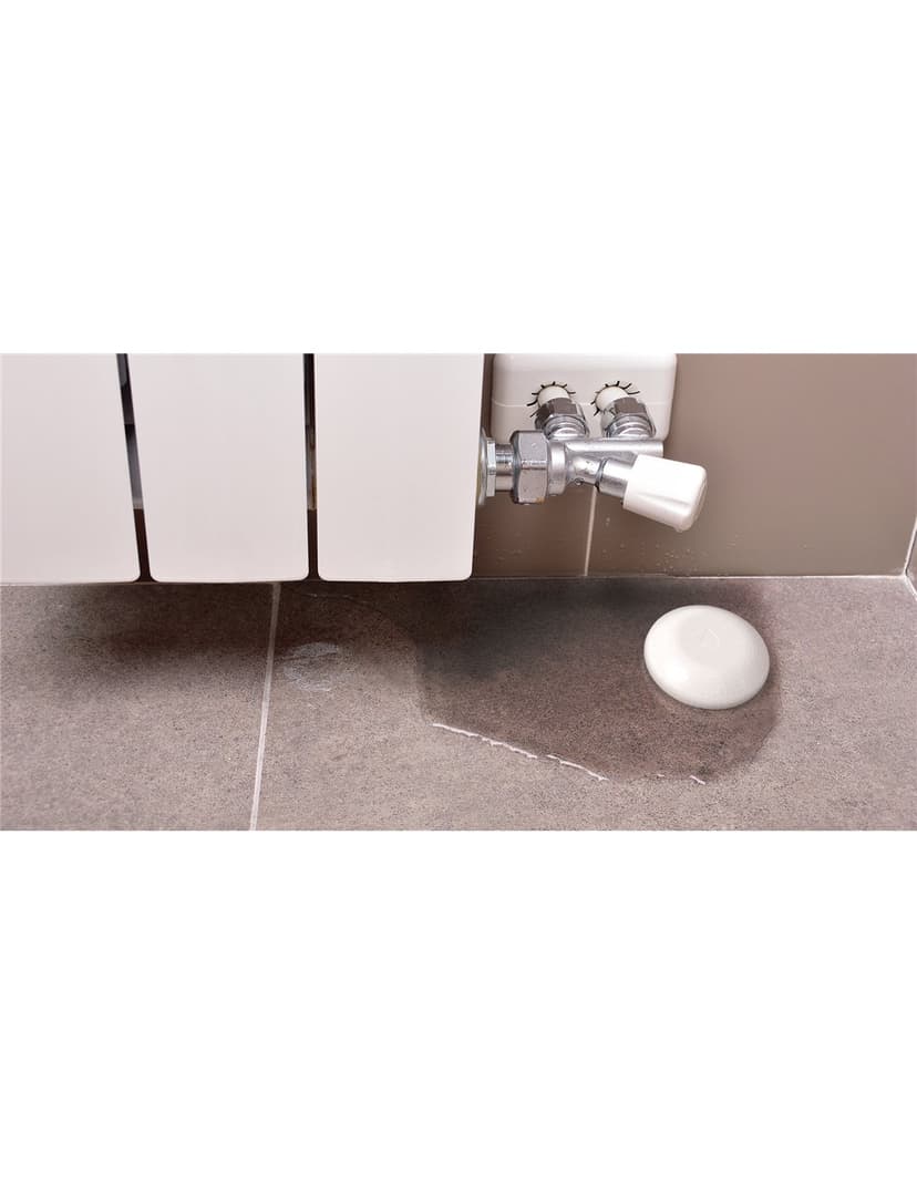 Shelly Flood WiFi Sensor