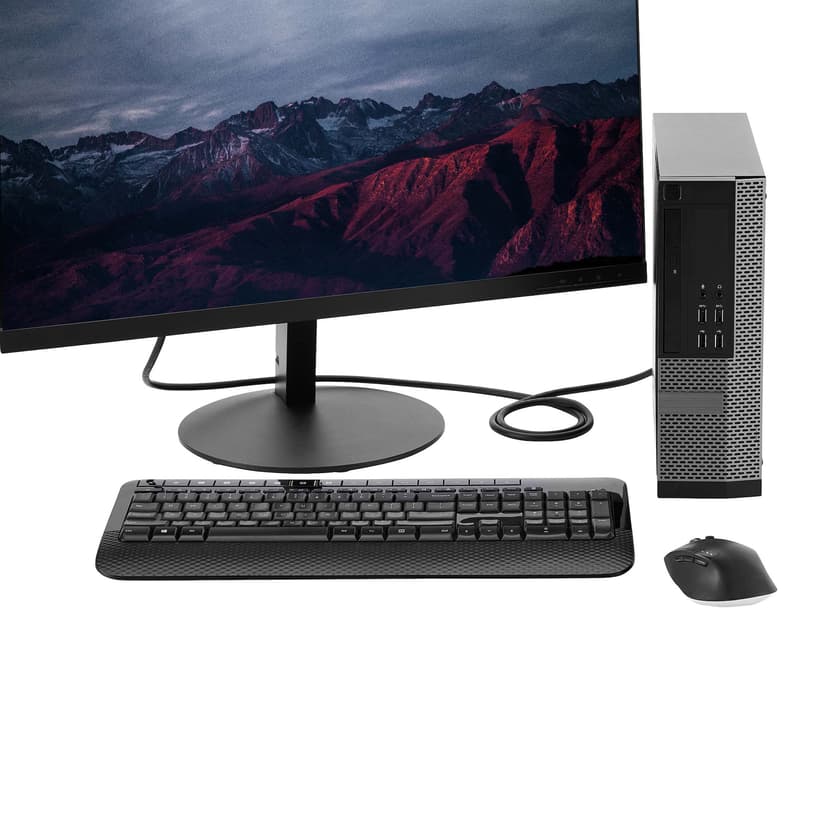 Startech 1.2-kabel med lås 1m DisplayPort DisplayPort Svart