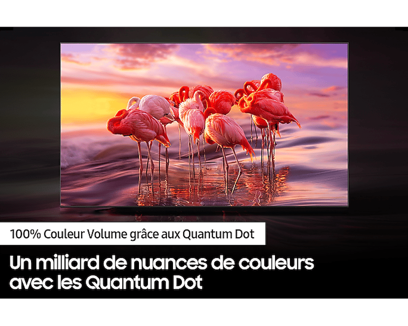 Samsung TQ32Q50A 32" Full-HD QLED Smart-TV (2023) - (Fyndvara klass 3)