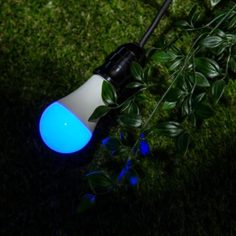 Shelly DUO RGBW Smart glödlampa Wi-Fi 9 W