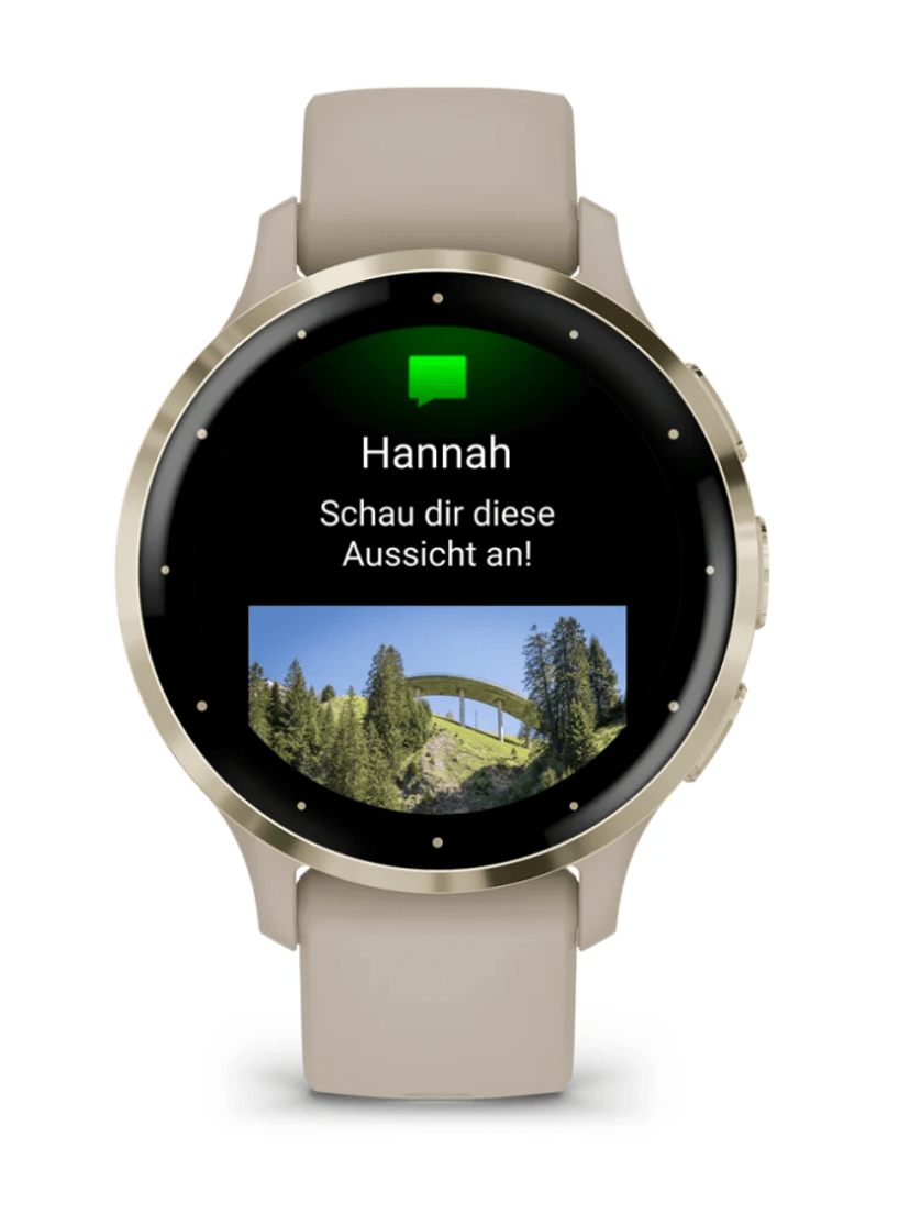 Garmin Venu 3s Harmaa, Kulta