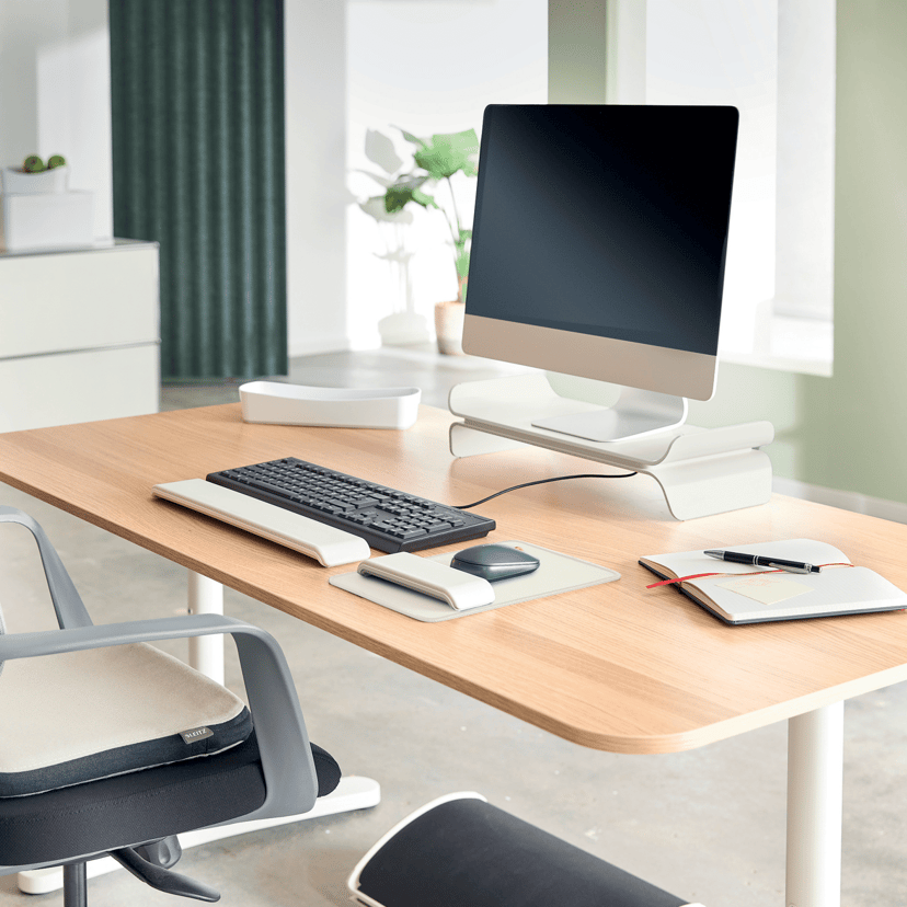 Leitz Ergo Active Wobble-kussen