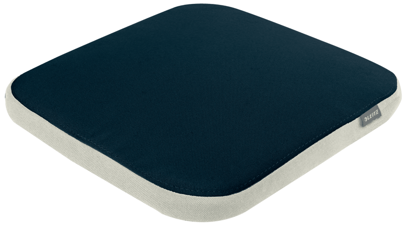 Leitz Ergo Active Wobble-pute