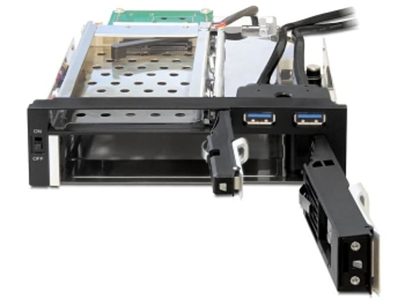 Delock 5.25 Mobile Rack for 1 x 2.5 + 1 x 3.5 SATA HDD + 2 x USB 3.0 Ports