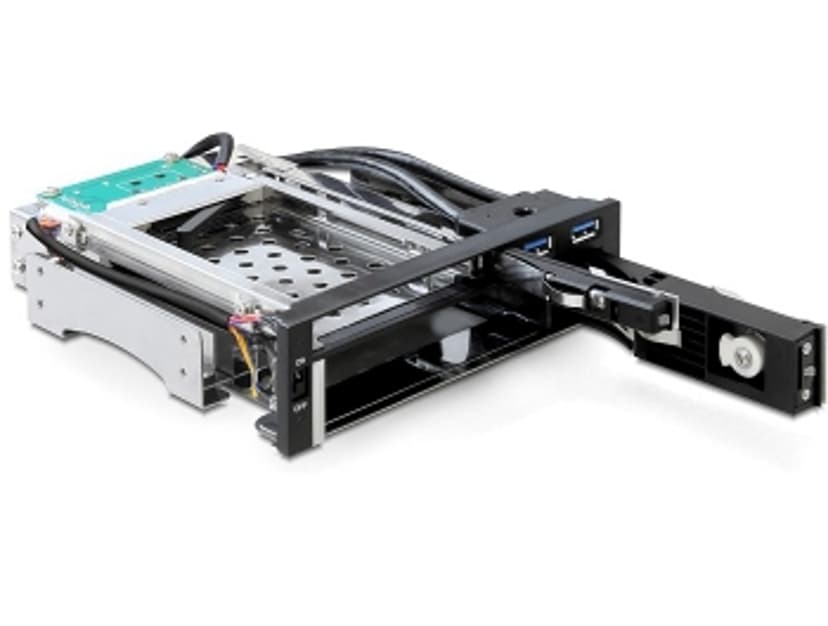Delock 5.25 Mobile Rack for 1 x 2.5 + 1 x 3.5 SATA HDD + 2 x USB 3.0 Ports
