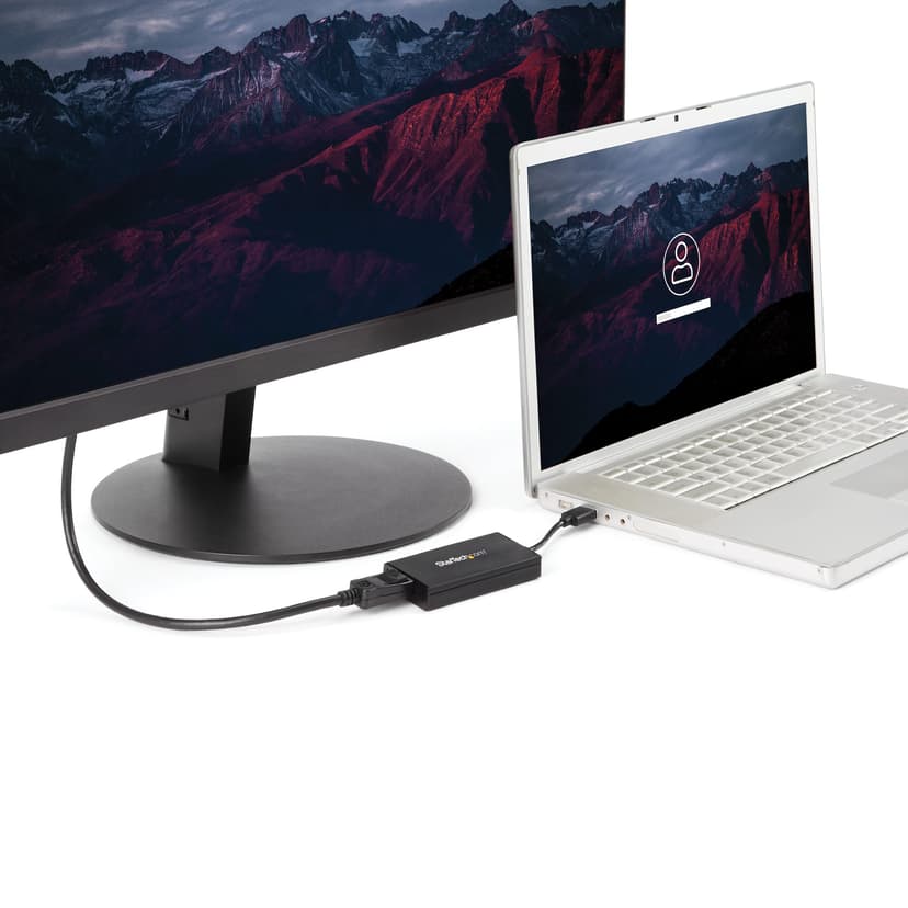 Startech USB Videoadapter