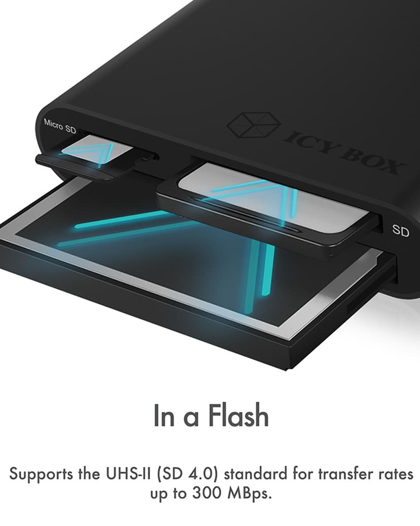 Raidsonic Icybox Multireader Cf,SD,Microsd