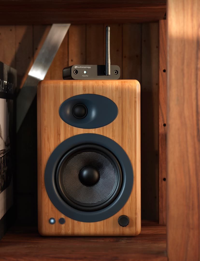 Audioengine B1