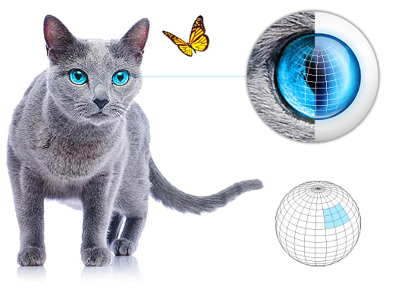 Fibaro Motion Sensor