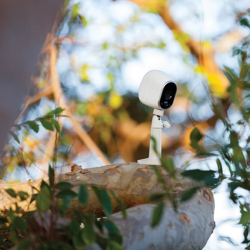 Arlo Wallmount VMA1000-10000S
