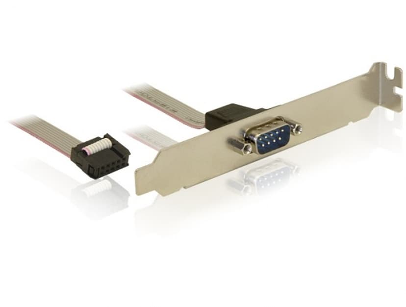 Delock Serial panel