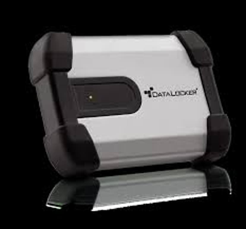 Datalocker Ironkey Basic H350 FIPS 140-2 LEV 3 500GB Gjuten aluminium, Svart