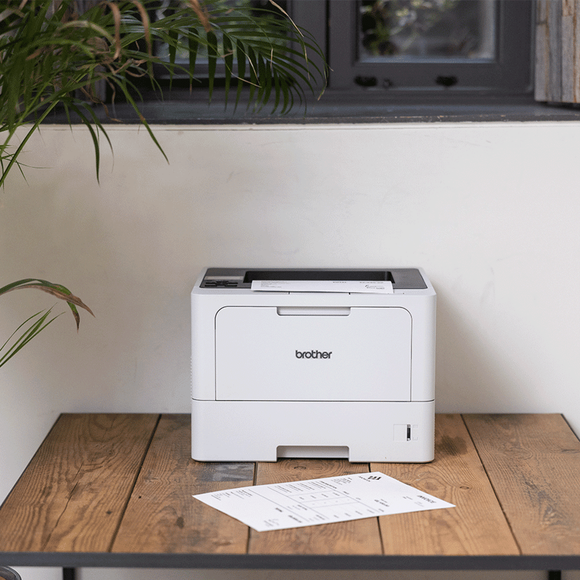 Brother HL-L5210DN A4