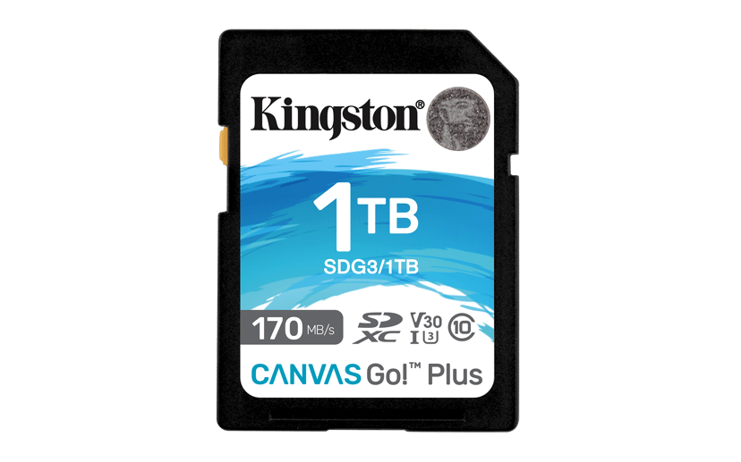 Kingston Canvas GO! Plus 1000GB SD UHS-I