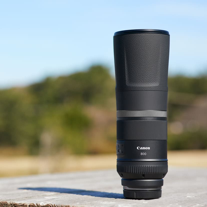 Canon RF 800mm f/11 IS STM