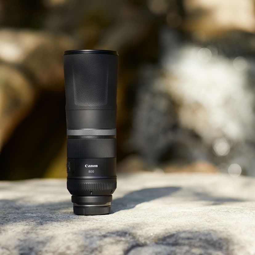 Canon RF 800mm f/11 IS STM