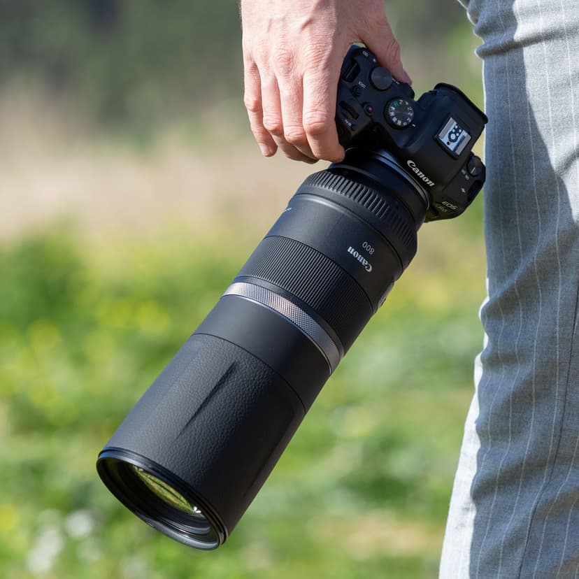 Canon RF 800mm F11 IS STM Canon RF