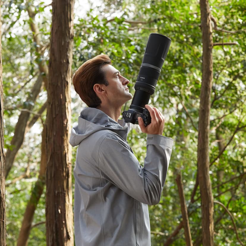 Canon RF 800mm F11 IS STM Canon RF