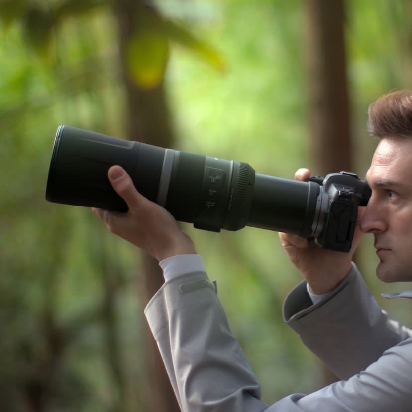 Canon RF 800mm f/11 IS STM