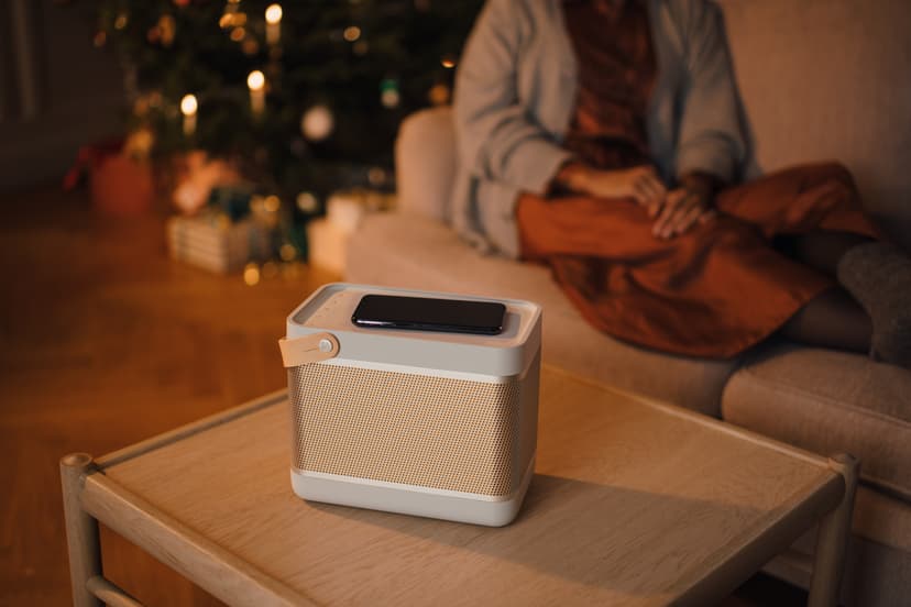 B&O Bang & Olufsen Beolit 20 Draadloze stereoluidspreker Grijs Grijs