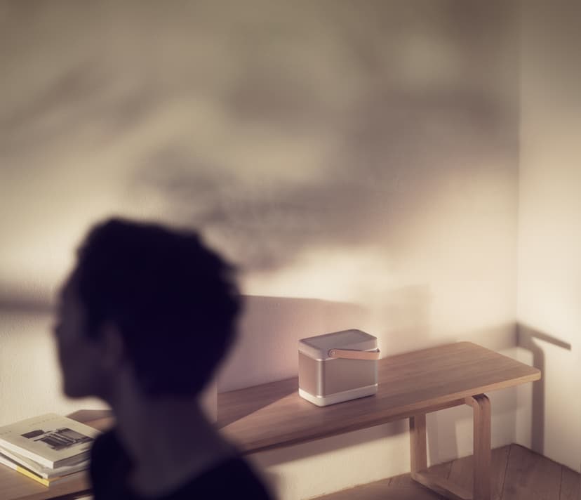 B&O Bang & Olufsen Beolit 20 Bærbar stereohøjttaler Grå Grå