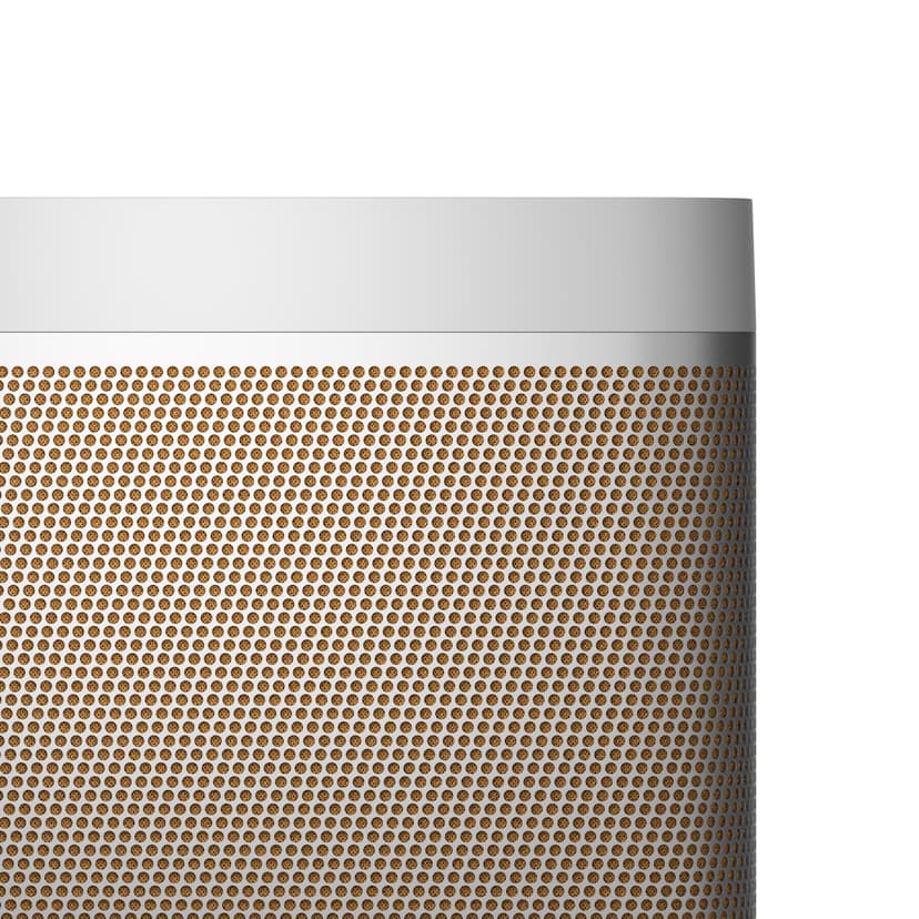 B&O Bang & Olufsen Beolit 20 Bærbar stereohøjttaler Grå Grå