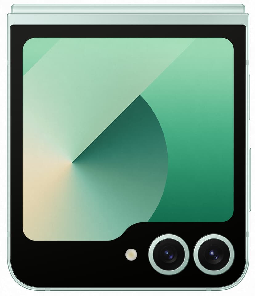 Samsung Galaxy Z Flip6 256GB Mintfärgad
