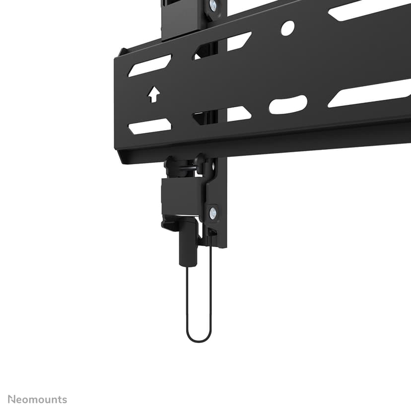 Neomounts LEVEL - WL30S-850BL12 TV-beugel 24-55"