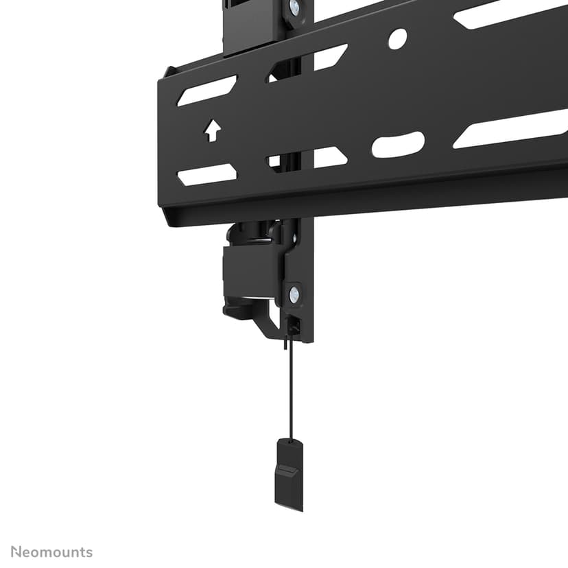 Neomounts LEVEL - WL30S-850BL12 TV-beugel 24-55"