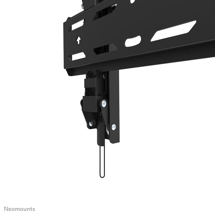 Neomounts LEVEL - WL35S-850BL12 TV-beugel 24-55"
