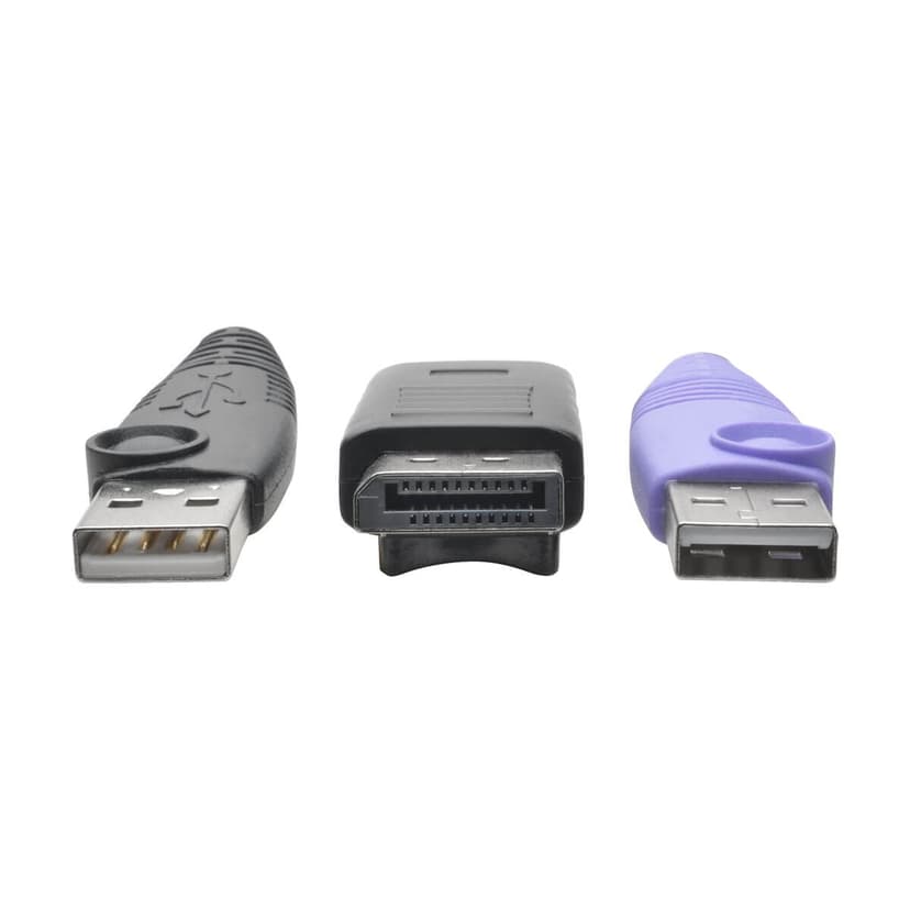 Eaton NetDirector DisplayPort USB Server Interface Unit (B064-IPG Series)