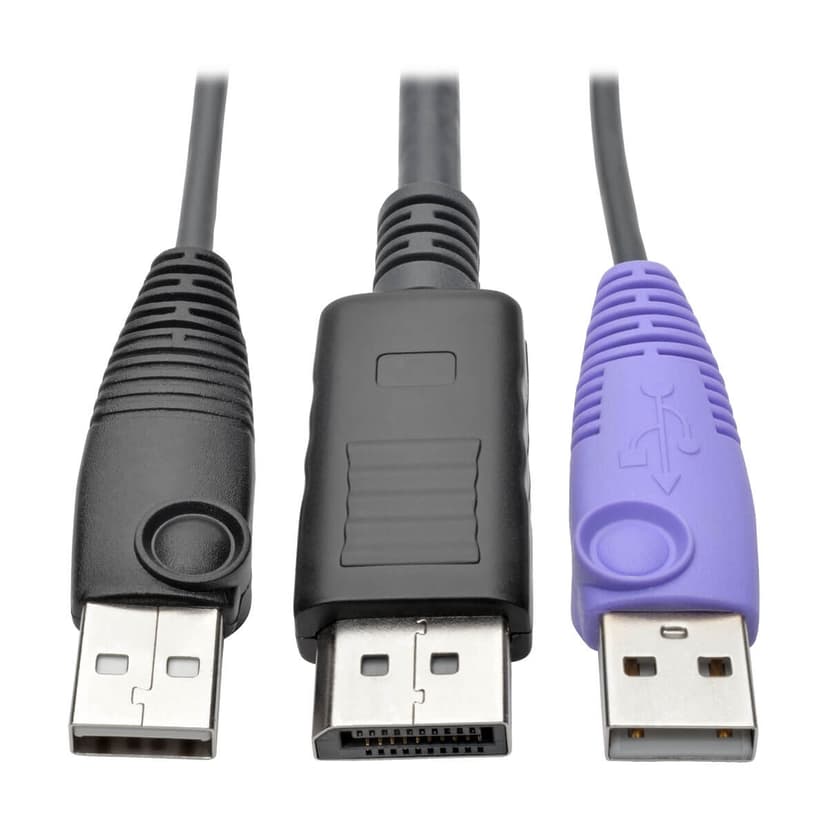 Eaton NetDirector DisplayPort USB Server Interface Unit (B064-IPG Series)