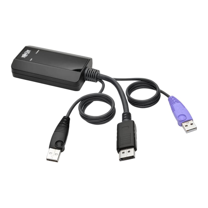 Eaton NetDirector DisplayPort USB Server Interface Unit (B064-IPG Series)