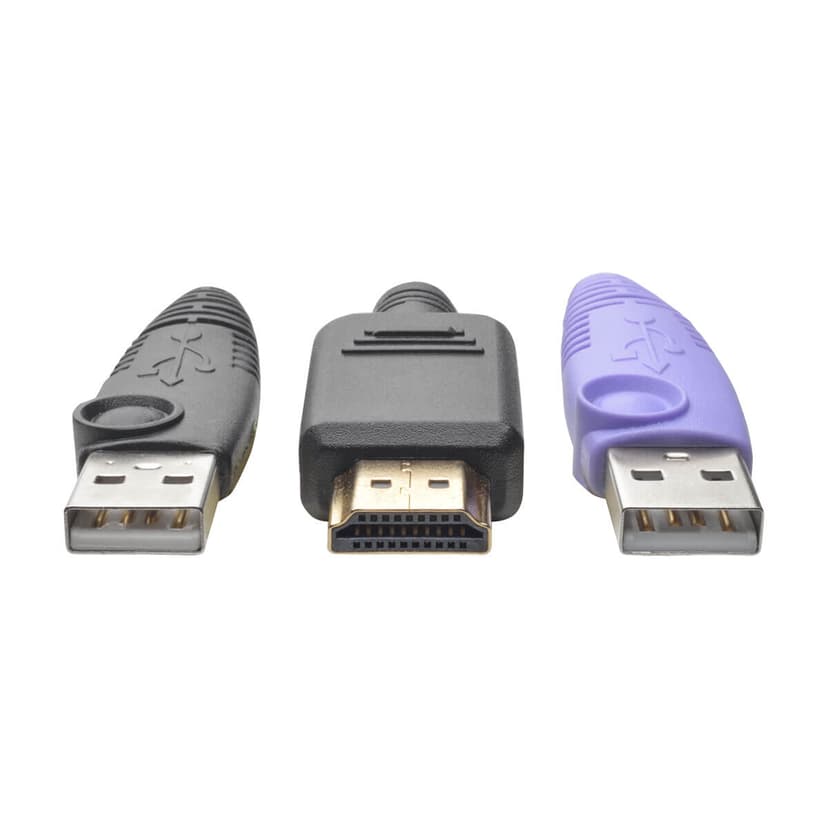 Eaton NetDirector HDMI USB Server Interface Unit (B064-IPG Series)