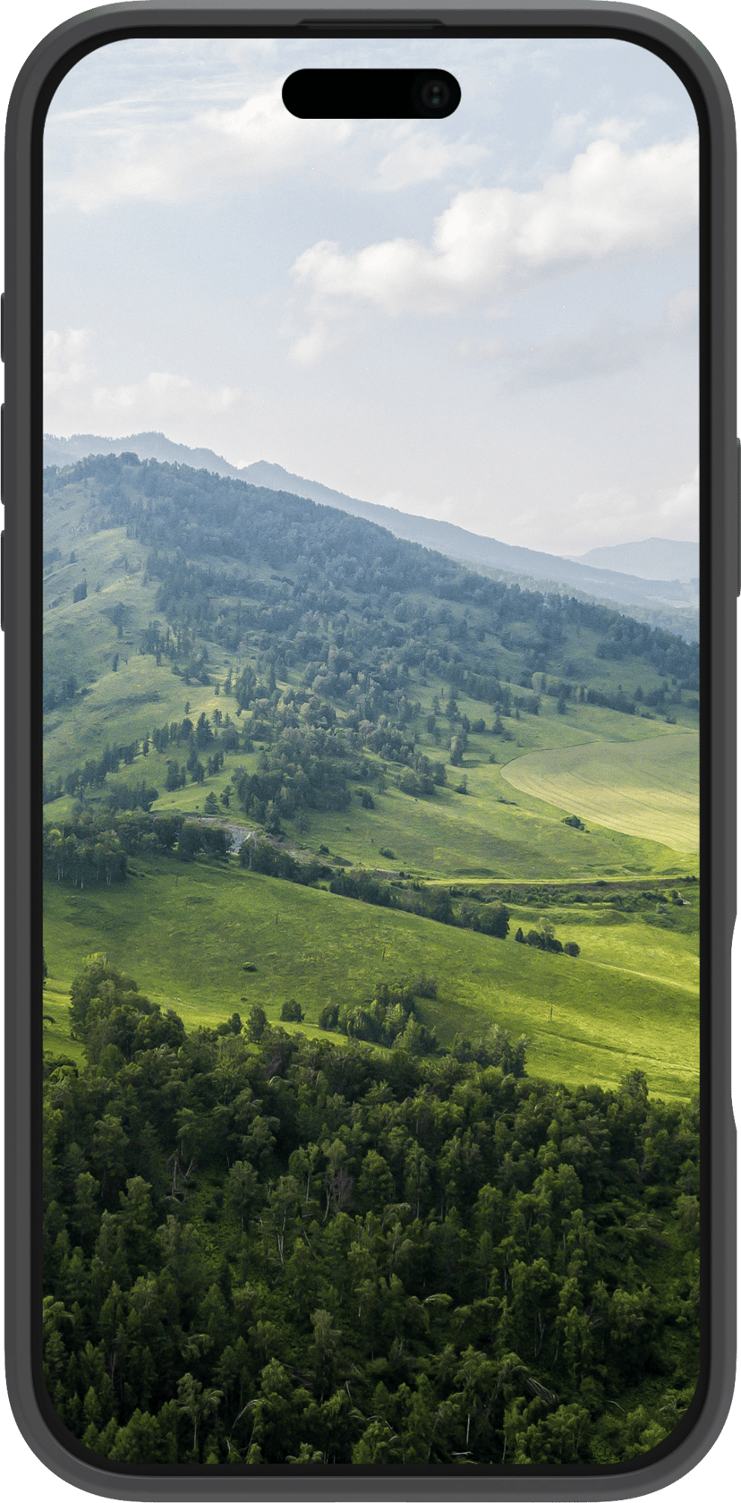 dbramante1928 Greenland Pro MagSafe iPhone 16 Musta