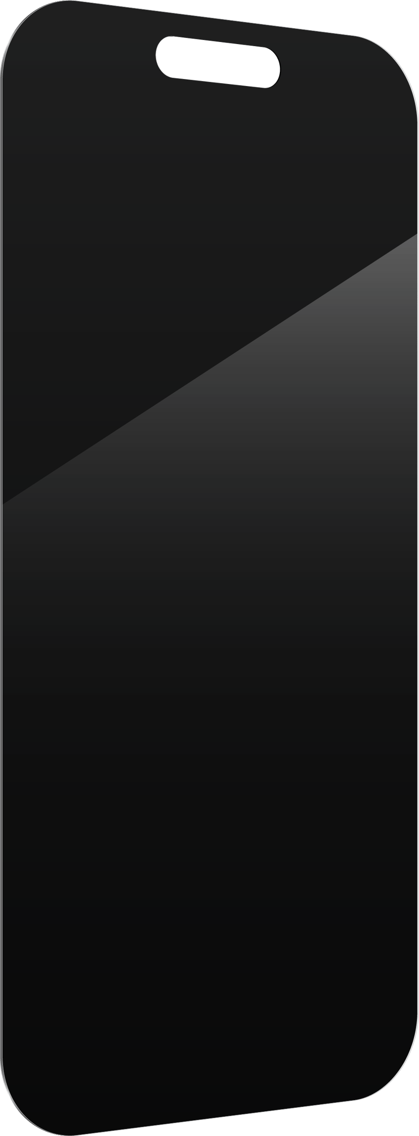Zagg InvisibleShield Glass Elite Privacy iPhone 16 Pro