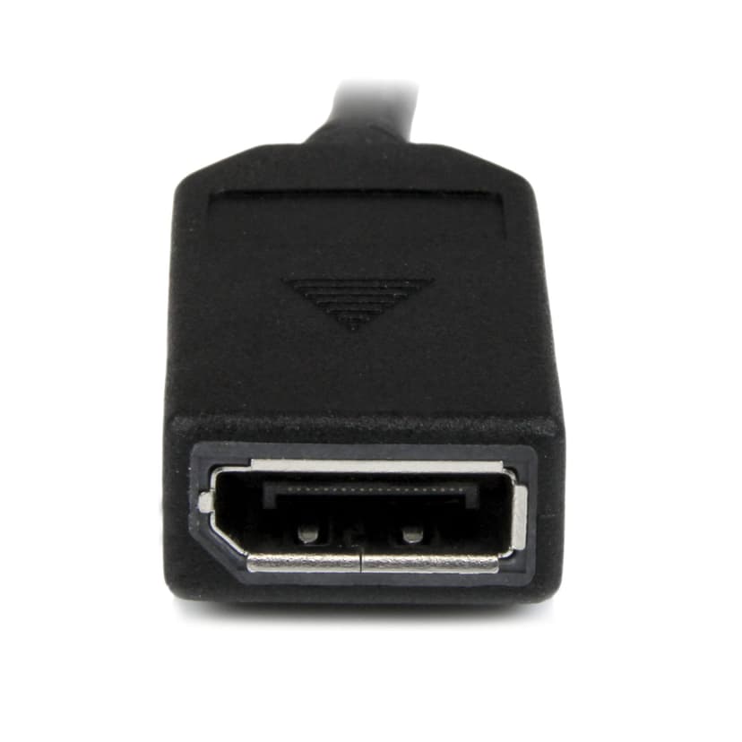 Startech 8in LFH 59 Male to Dual Female DisplayPort DMS 59 Cable