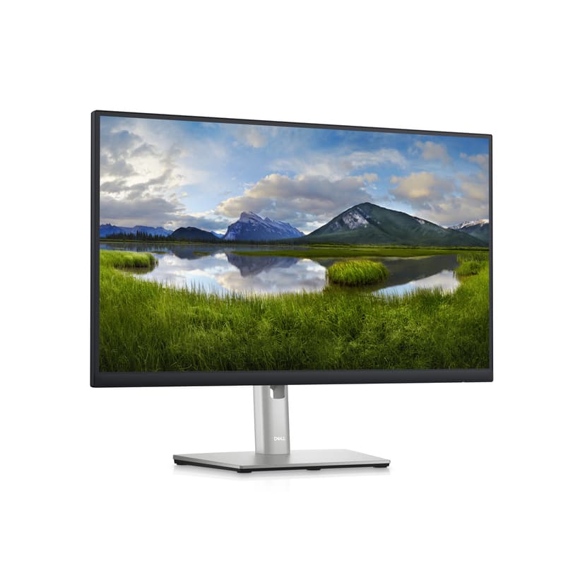 Dell P2423D 23.8" 2560 x 1440pixels IPS 16:9 60Hz