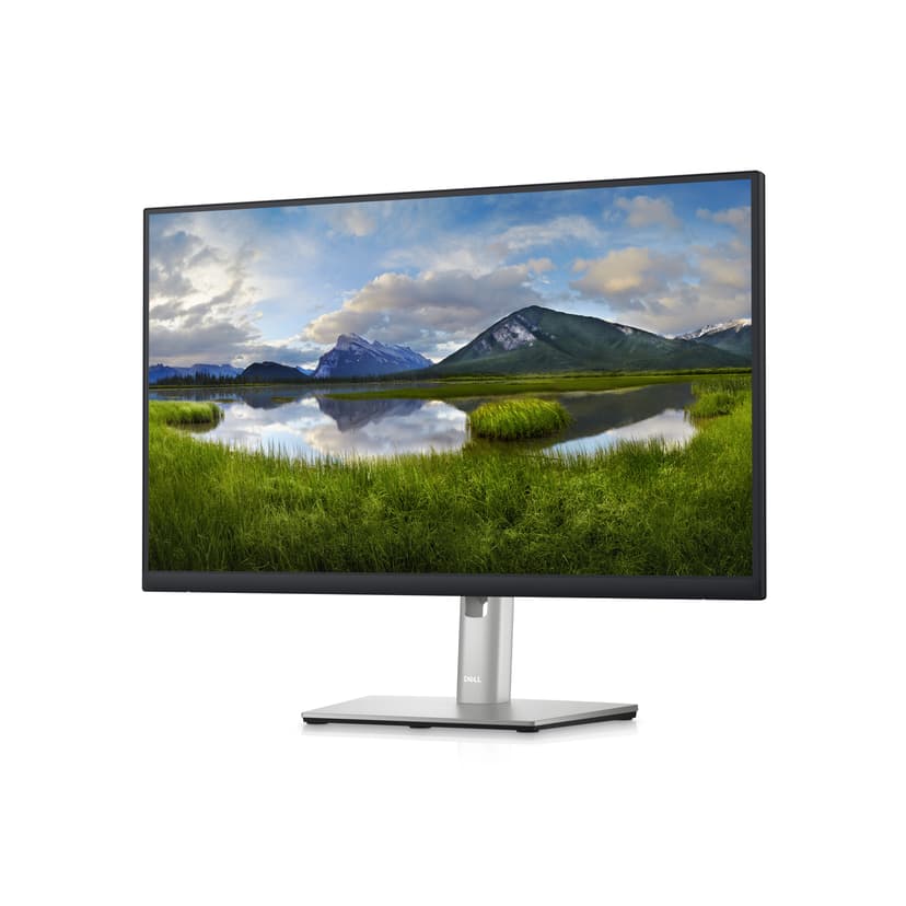 Dell P2423D 23.8" 2560 x 1440pixels IPS 16:9 60Hz