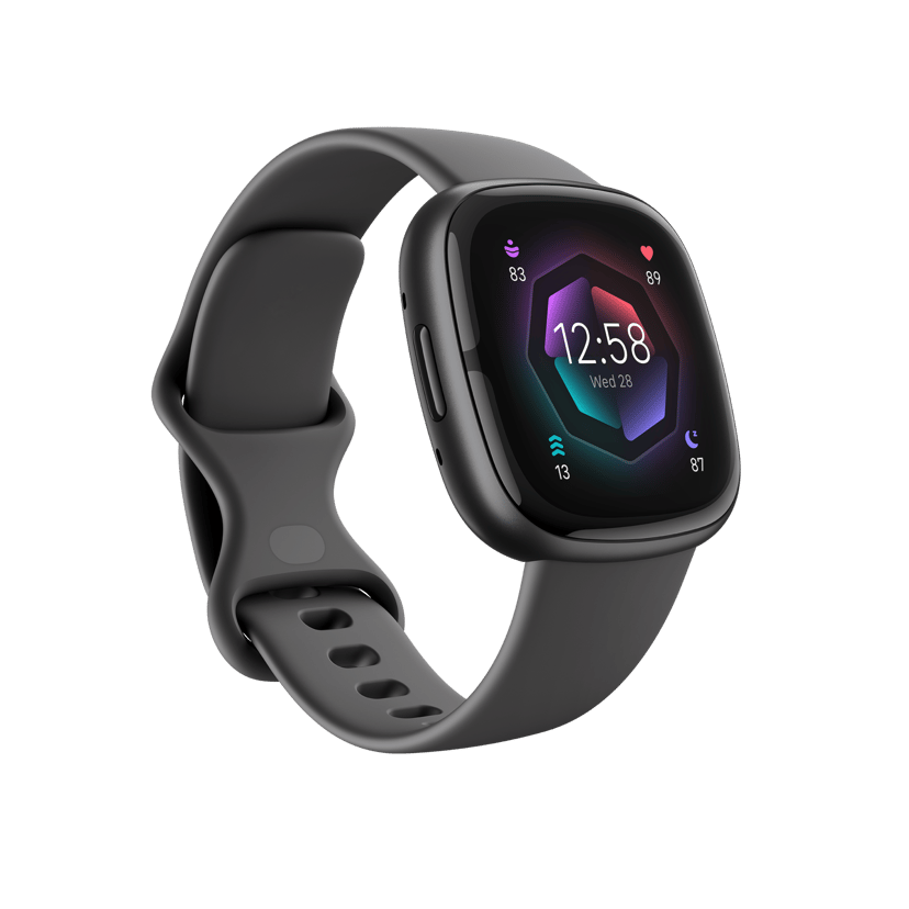 Fitbit Sense 2 Shadow Grey/Graphite Musta