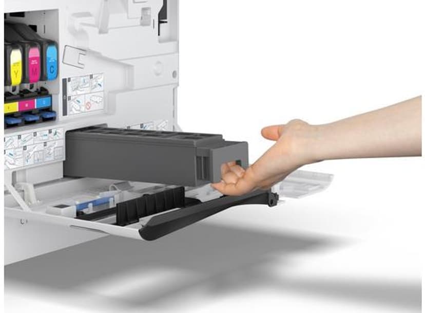 Epson Maintenance Box - AM-C400/AM-C550