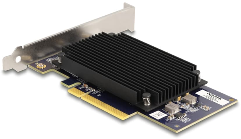 Delock PCI Express x8 Hailo-8 AI Processor x2 AI-Accelerator