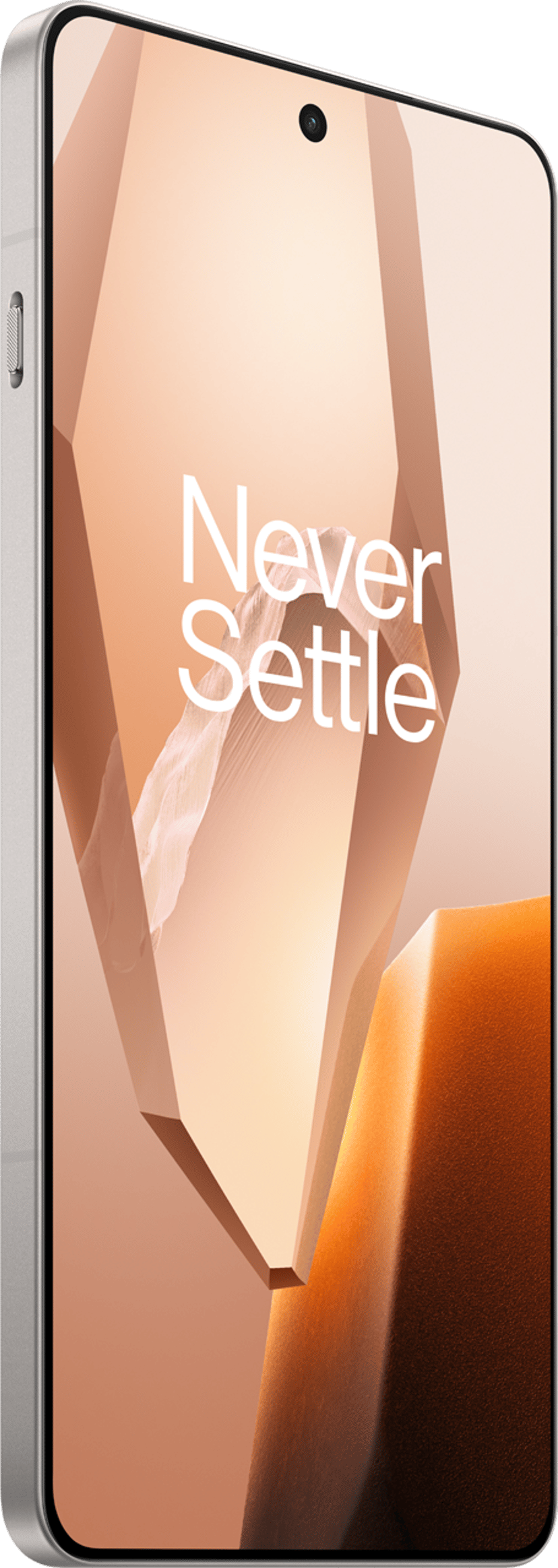 OnePlus 13R 256GB Titan
