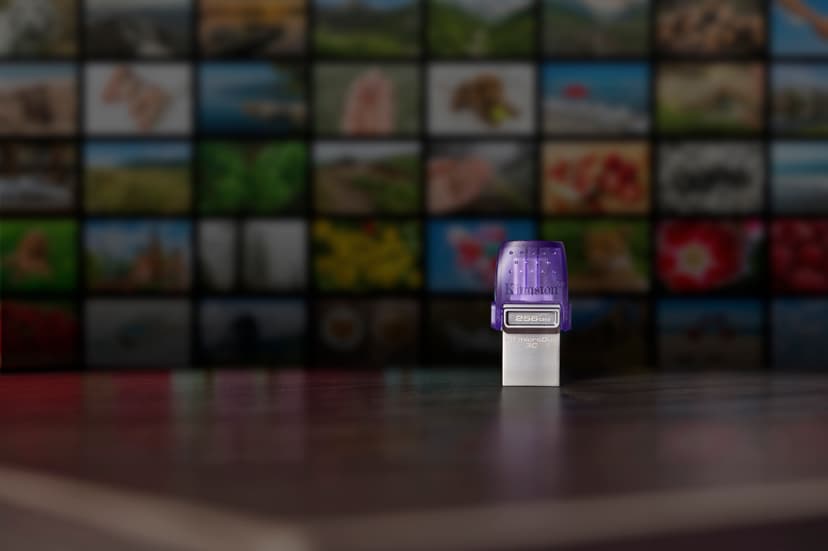 Kingston DataTraveler MicroDuo 256GB USB-A / USB-C Rustfrit stål, Lilla