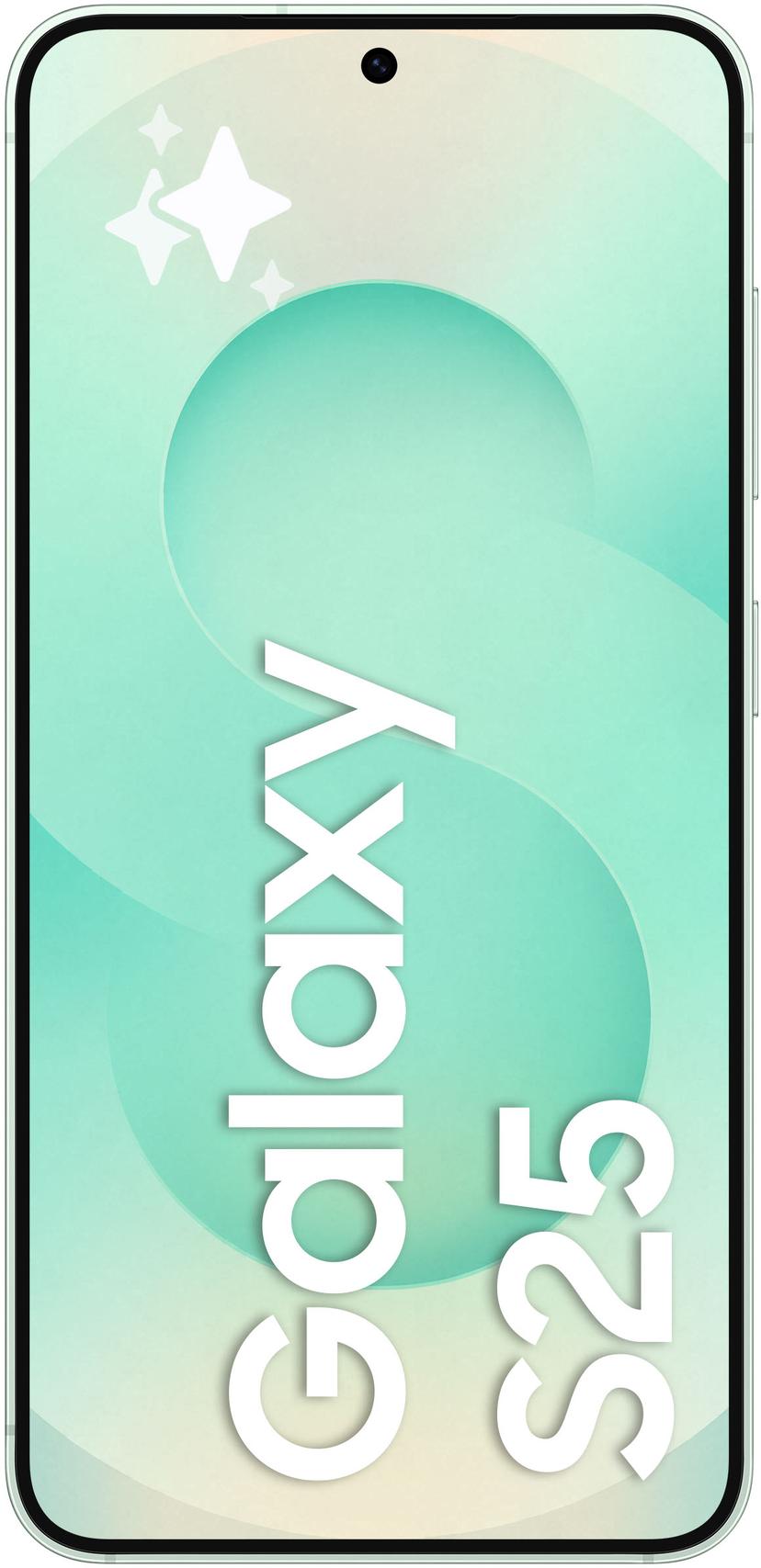 Samsung Galaxy S25 512GB Muntkleur