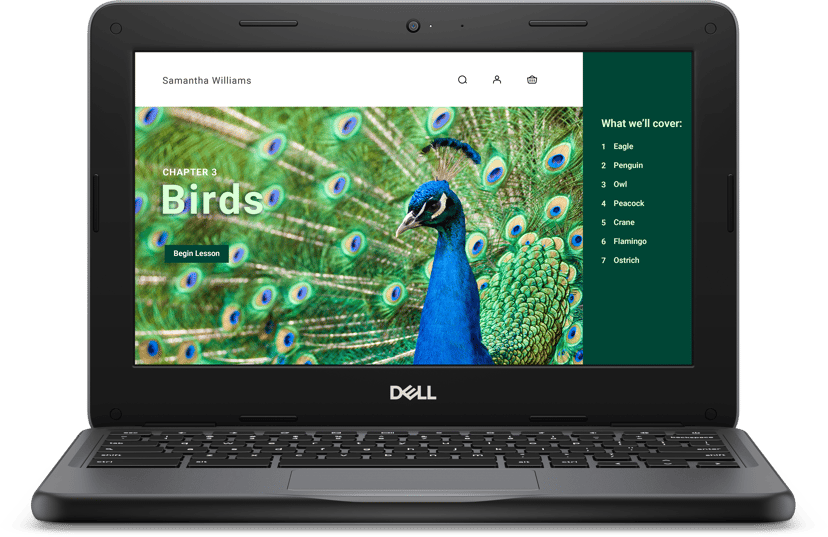 Dell Chromebook 3120 Intel® N 4GB 64GB 11.6"