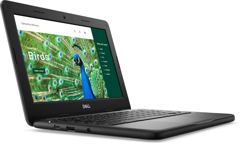 Dell Chromebook 3120 Intel® N 4GB 64GB 11.6"