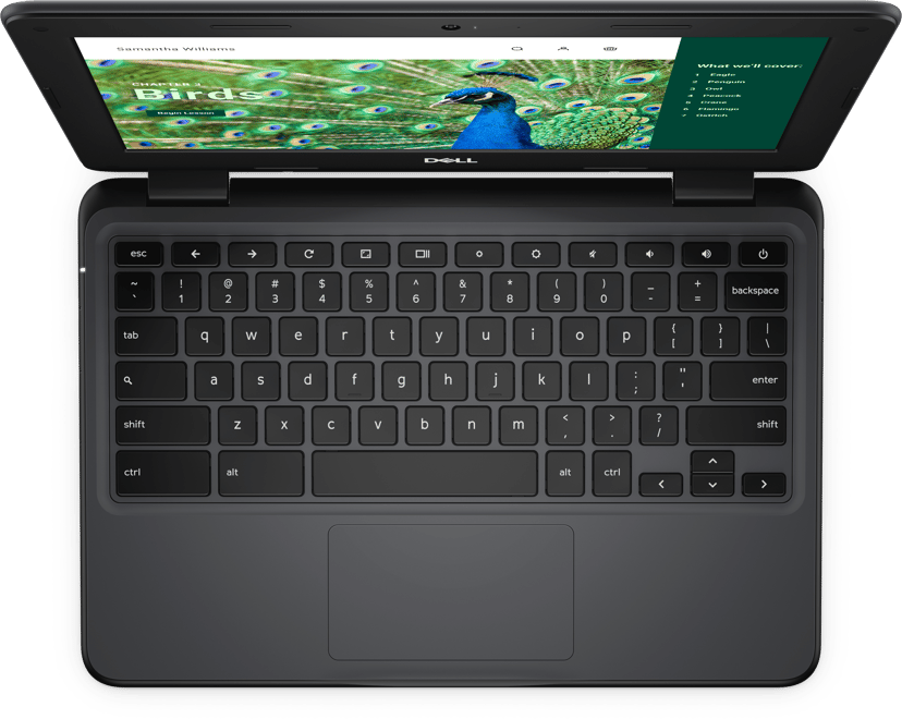Dell Chromebook 3120 Intel® N 4GB 64GB 11.6"