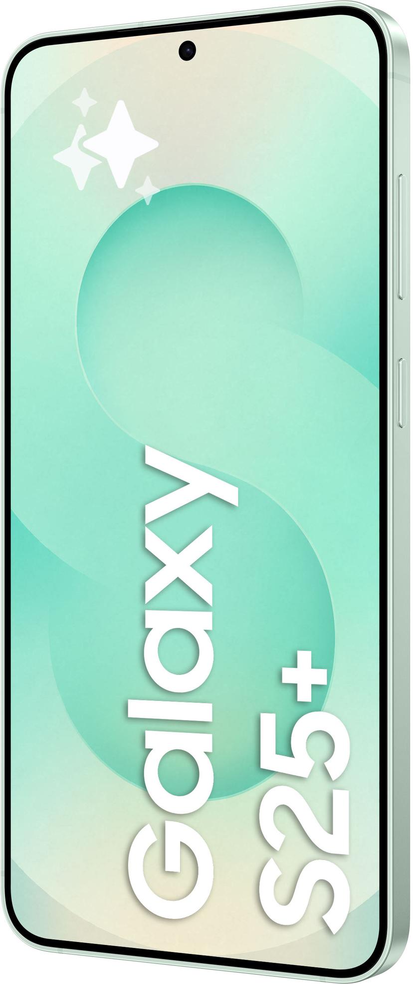 Samsung Galaxy S25+ 512GB Mintunvärinen
